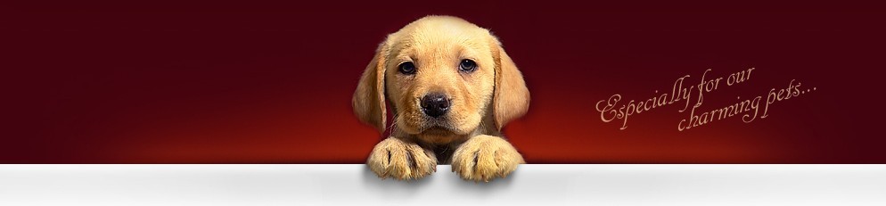 Sklep Zoologiczny 🐹🐕🐠 Internetowy Sklep Zoologiczny